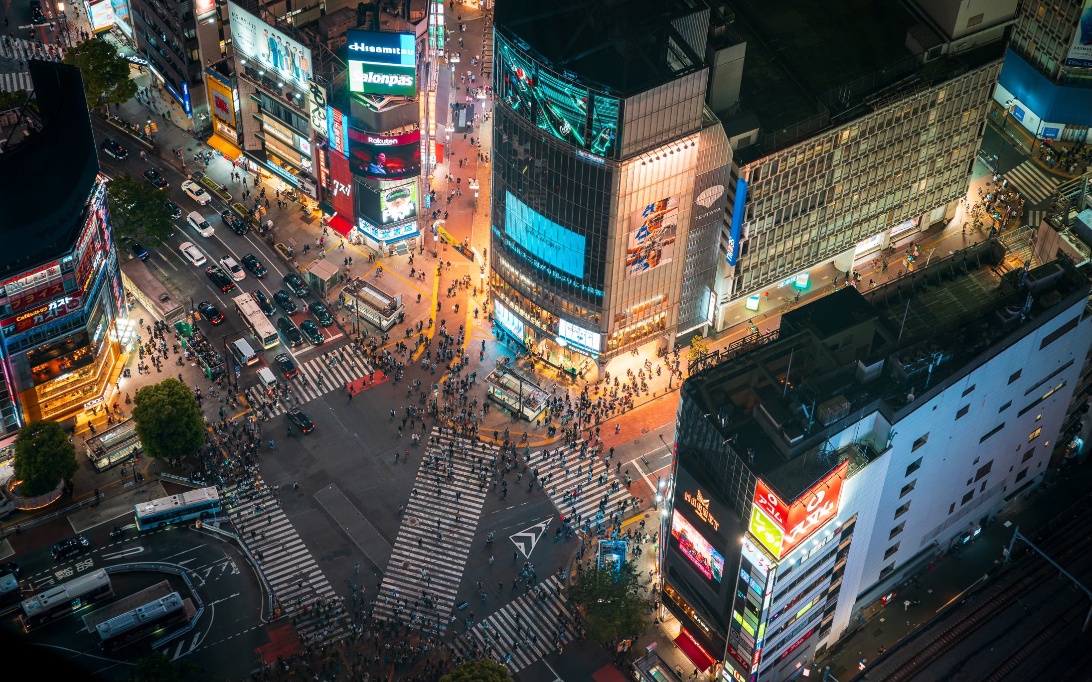 Ginza Shopping District